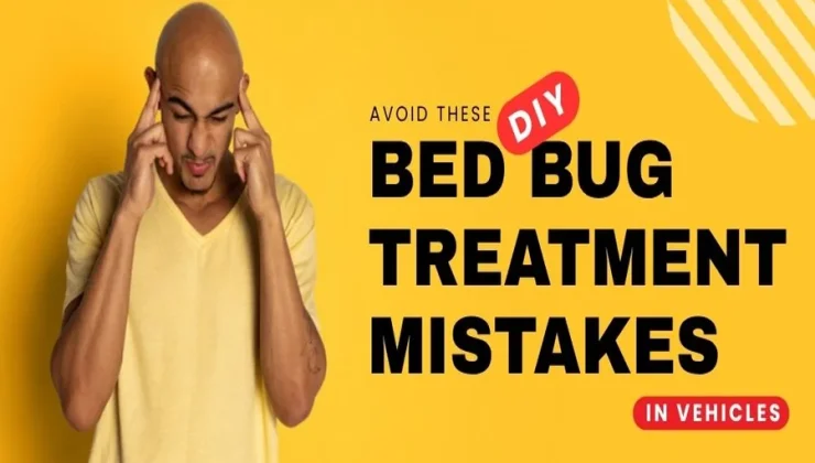 DIY Bed Bug Treatment