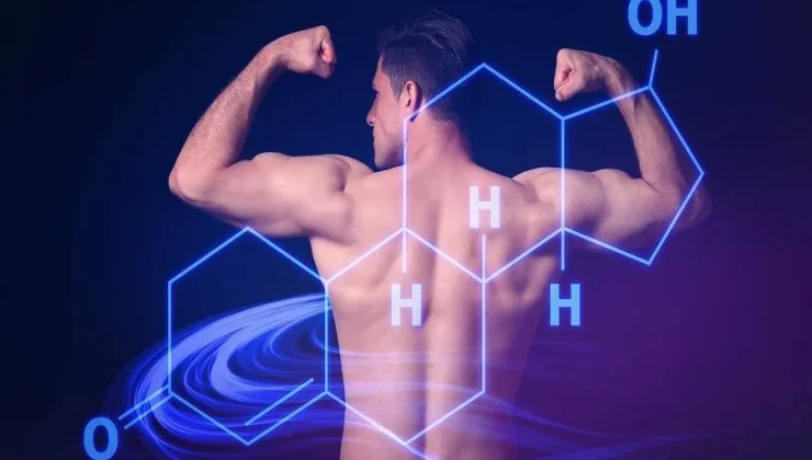 Male Hormones