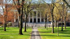 Ivy League
